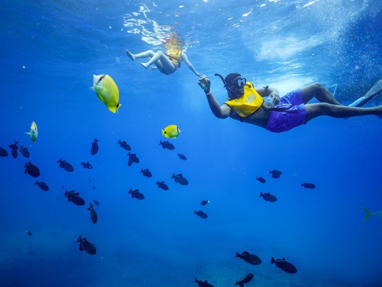 West Oahu snorkeling