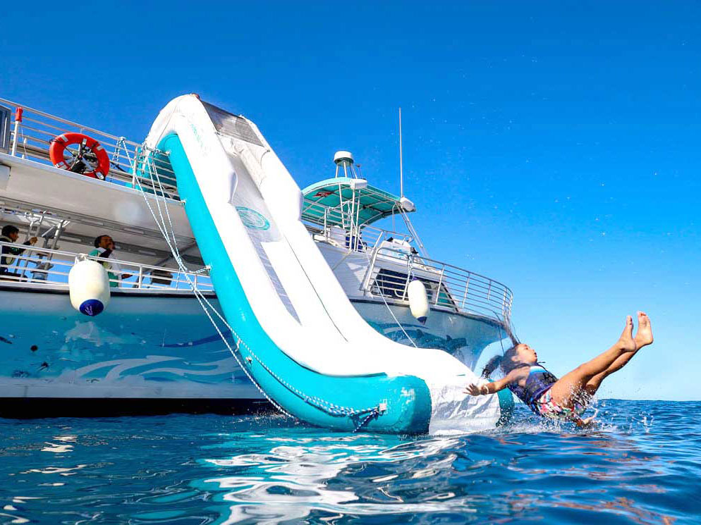 Dolphins and you water slide