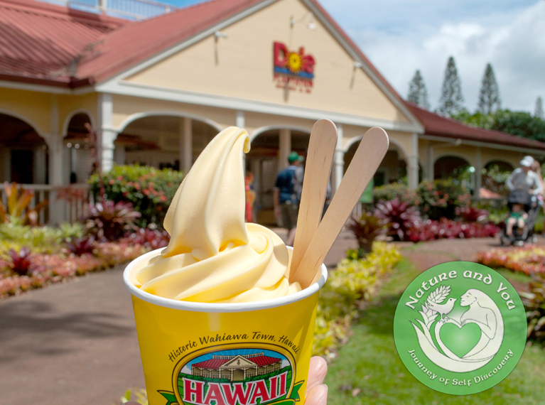 DoleWhip_Waimea