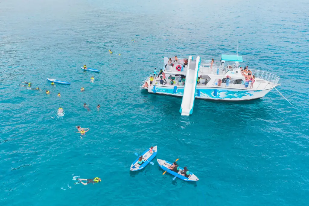 Dolphins and You guests enjoy a dolphin cruise in Oahu.