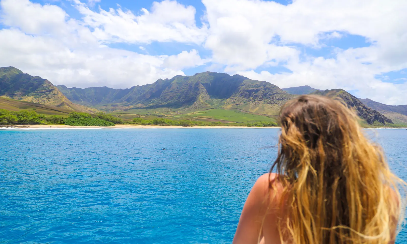 Read more about the article How to Avoid Seasickness on a Boat Tour in Hawaii (Dolphin Tour Tips)