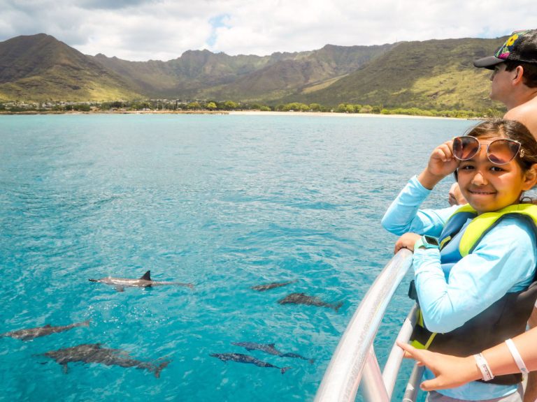 family friendly dolphin tour