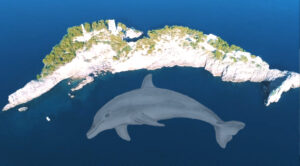 Read more about the article Where is the dolphin island (Il Gallo Lungo) in Italy?