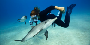 Read more about the article Dolphin-Human Connections: Stories of Extraordinary Encounters