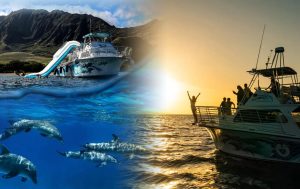 Read more about the article From Oahu Dolphins to Waikiki Dancing: Your Perfect Hawaiian Day