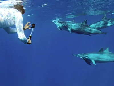 Swimming with dolphins in Oahu with Gopro