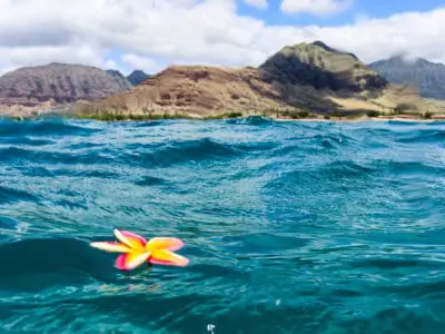Hawaii Beach