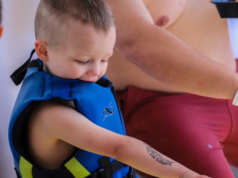 Dolphin Tattoo sticker