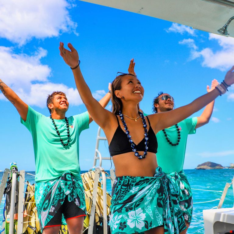 Dolphins and you hula