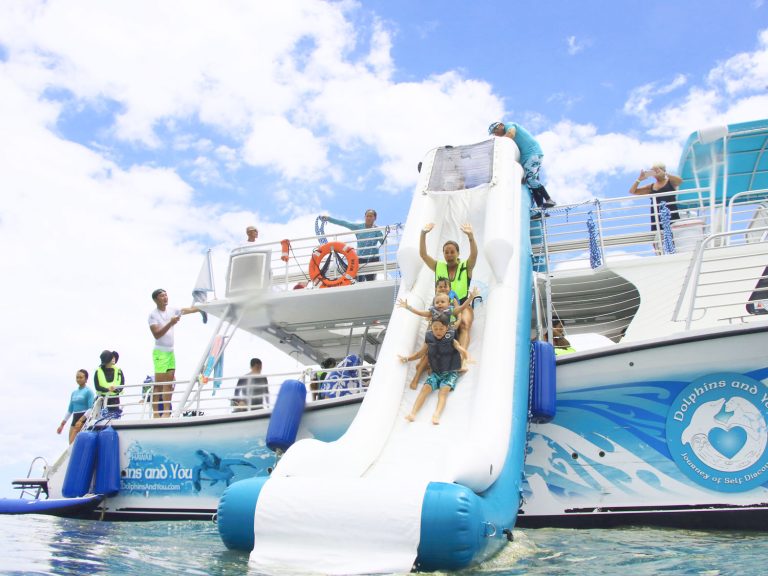 Dolphin watching tour water slide