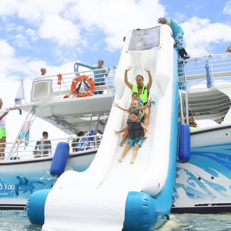 Dolphin tour Waterslide