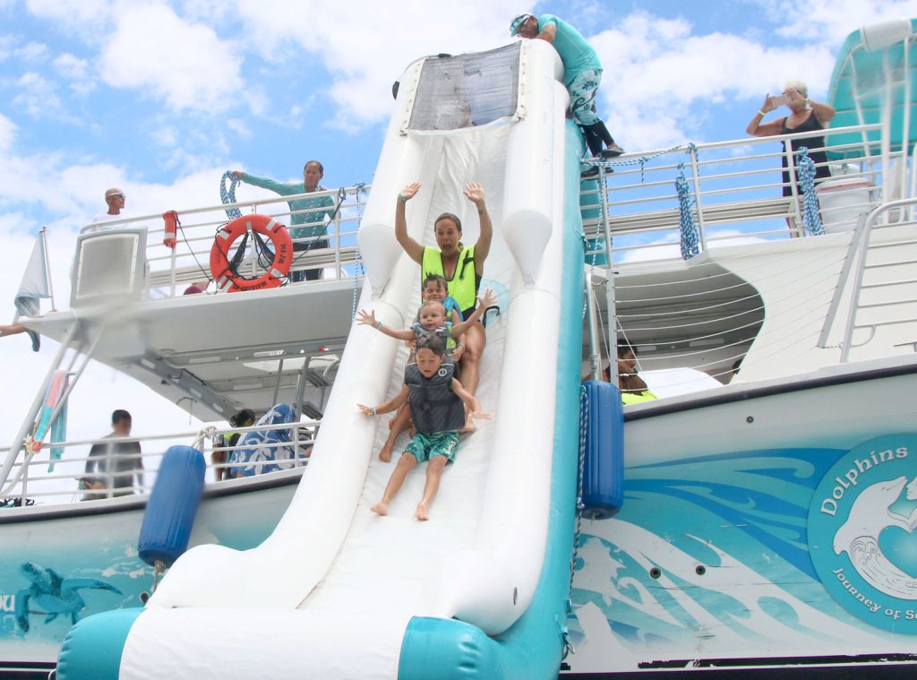 Dolphins and you Water slide