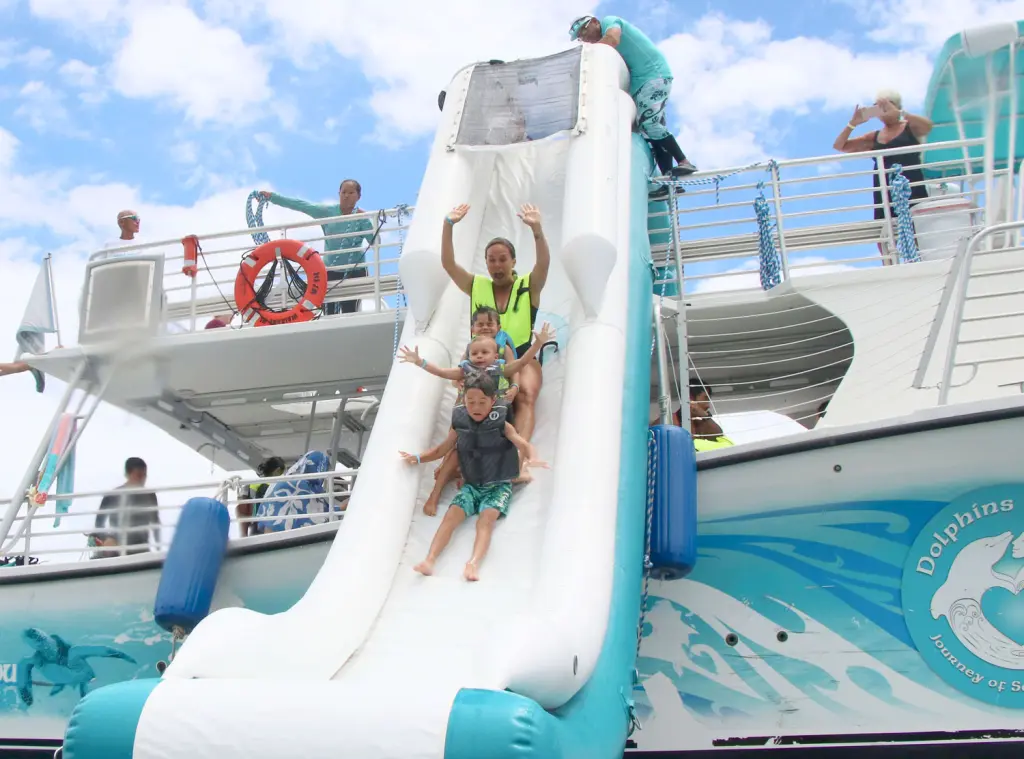 Dolphins and you Water slide