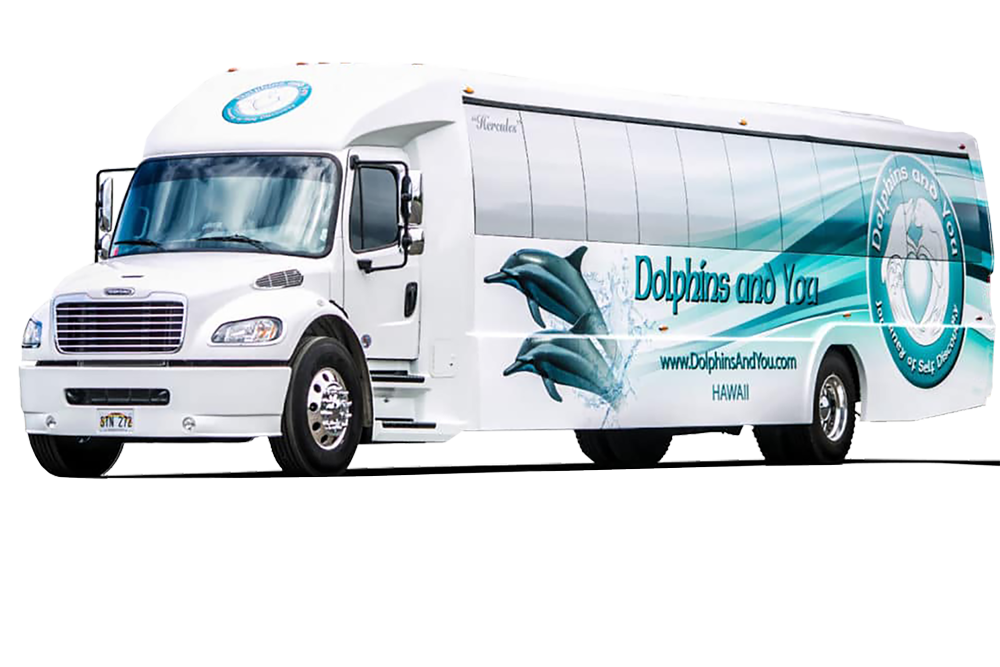 Dolphin tour bus