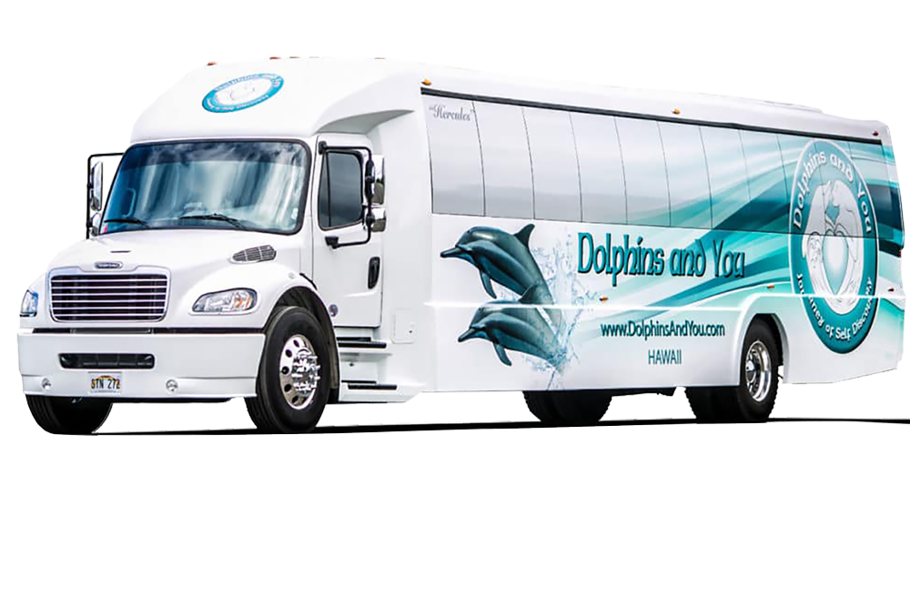 Dolphin tour bus