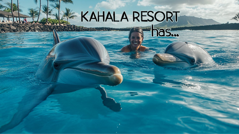 You are currently viewing What hotel on Oahu has dolphins?