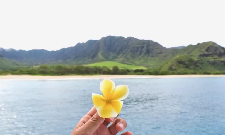 オアフ島ウエストサイド美しいマカハビーチ