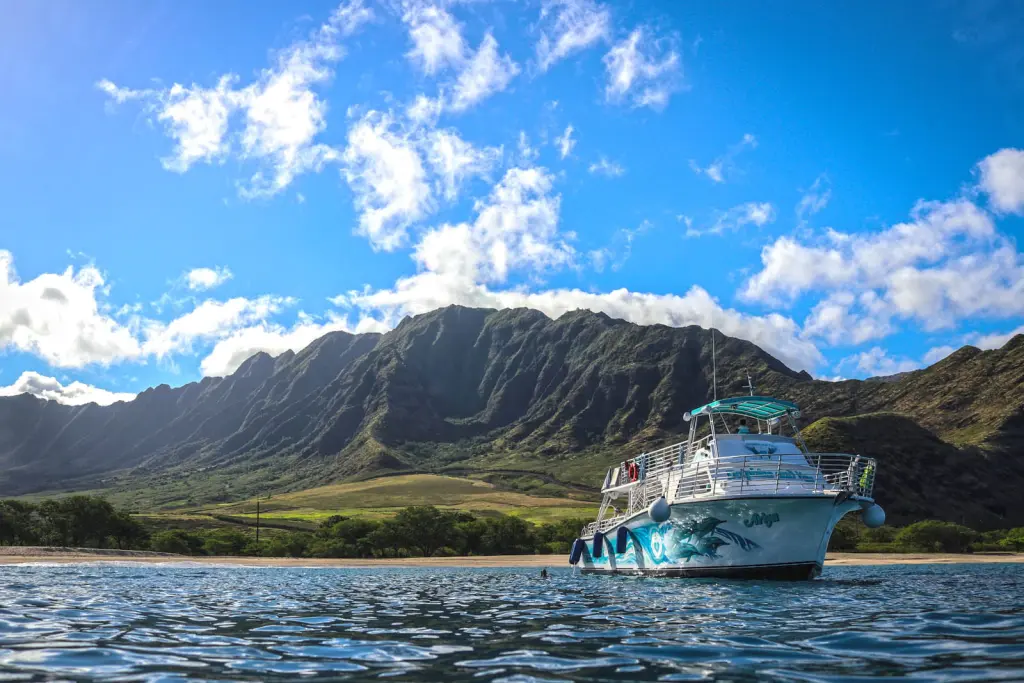 Snorkel with dolphins off of Makua beach with Dolphins and You