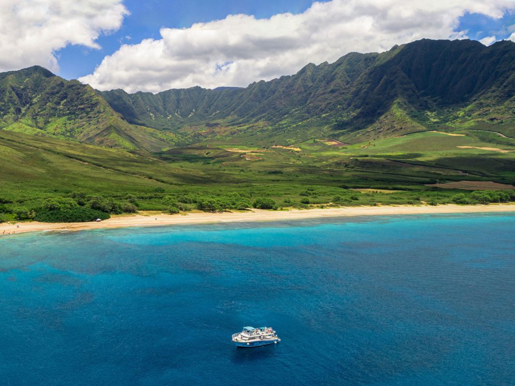 West Oahu dolphin tour