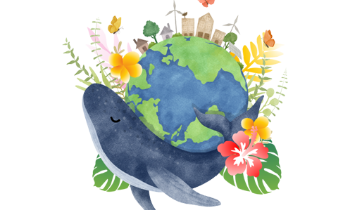 Read more about the article What is Mālama? Sustainable Travel & Ocean Respect in Hawaii