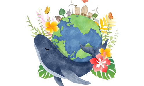 Read more about the article What is Mālama? Sustainable Travel & Ocean Respect in Hawaii