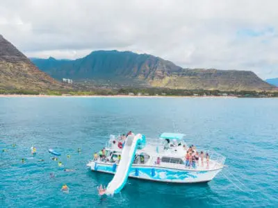 Cruise with dolphins in West Oahu