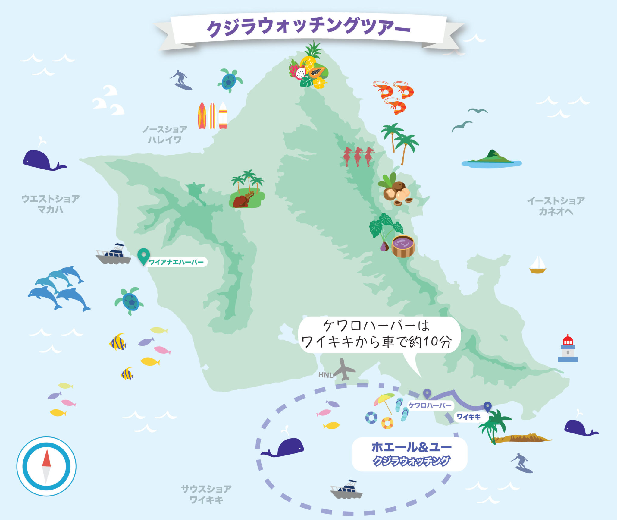 Oahu Whale watching tour