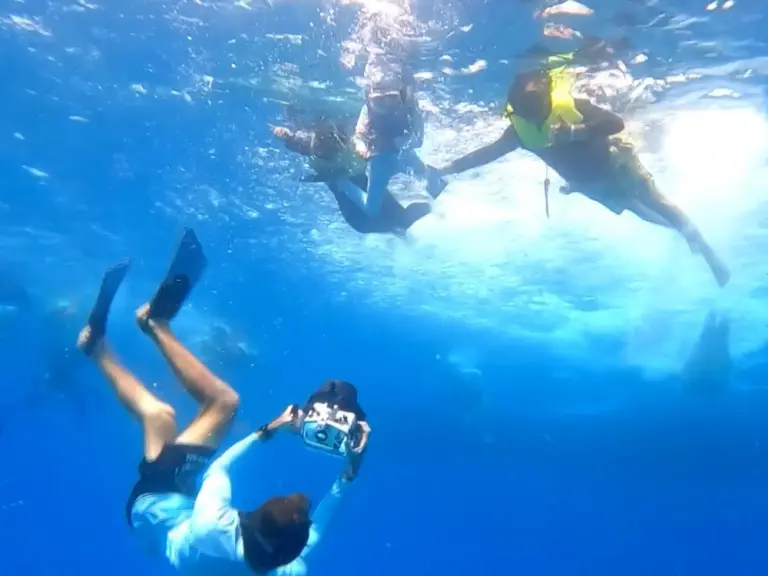 Photo service on Dolphin tour