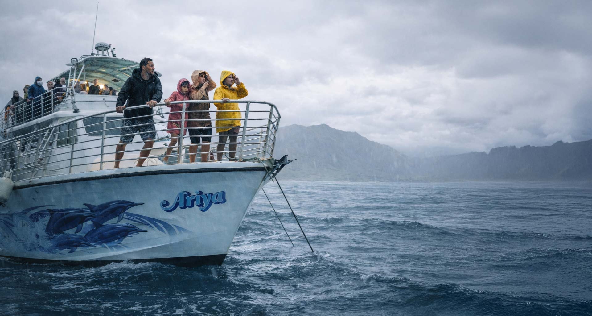 Read more about the article Will the Dolphin tour run or operate in the rainy season?