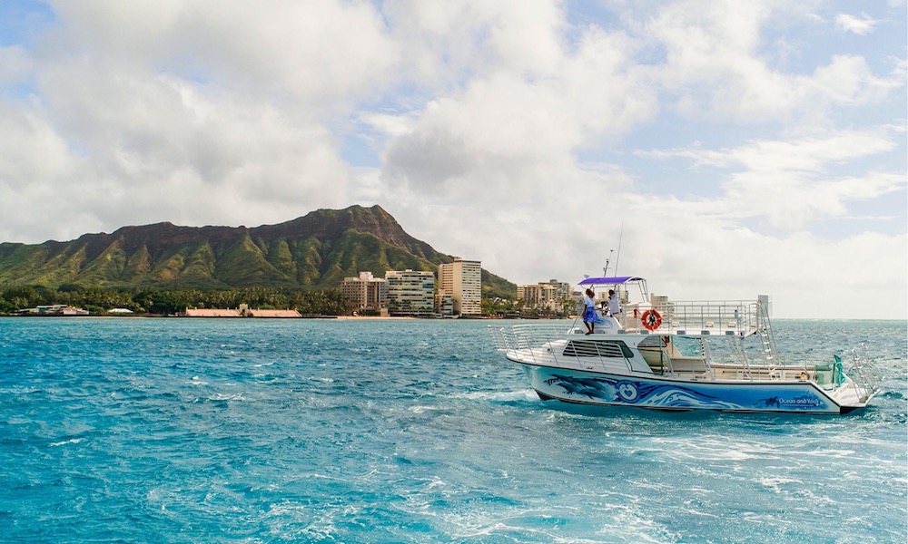 Read more about the article Who inspired the Island of the Blue Dolphins?