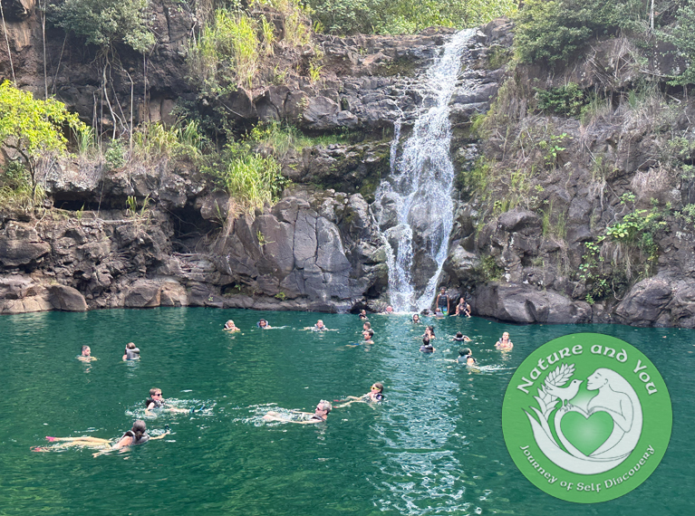 WaterfallSwim_waimea