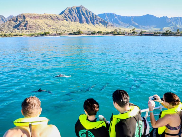 West oahu dolphin watching