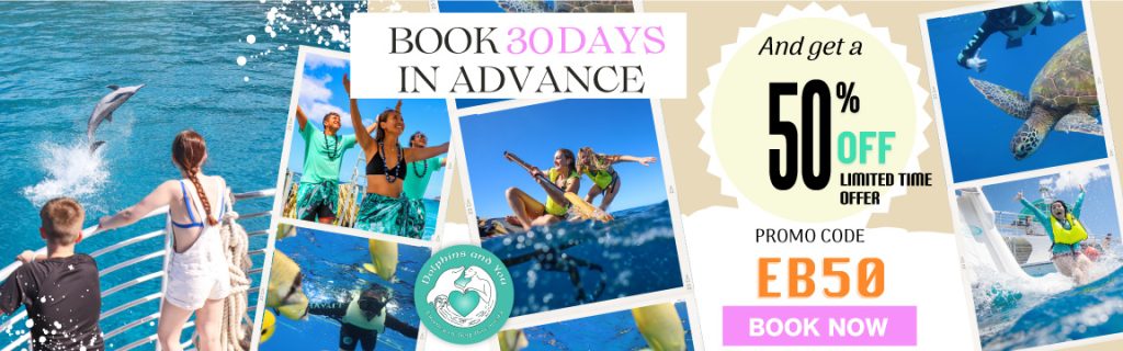 Early bird discount 50% OFF