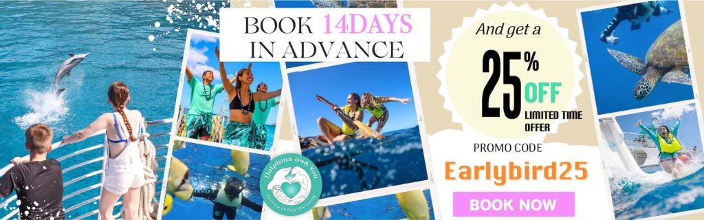 Book early and save25%