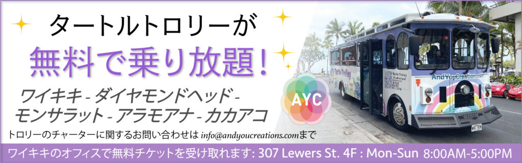 free turtle trolley banner_jp