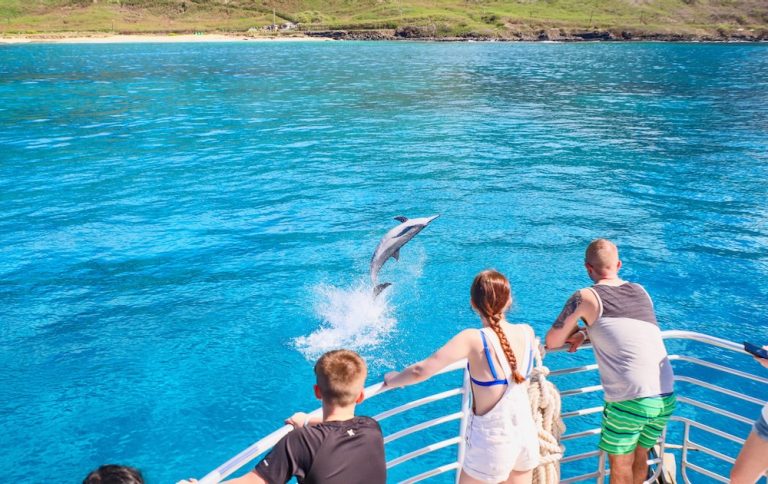 イルカ　ハワイ