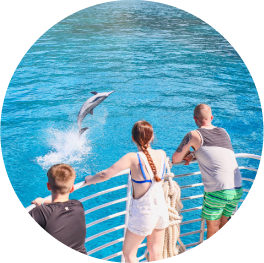 Wild dolphin watch