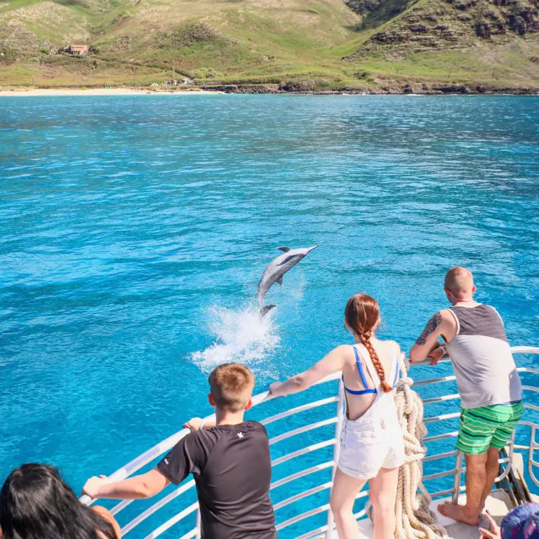 Watch Spinner Dolphin spin