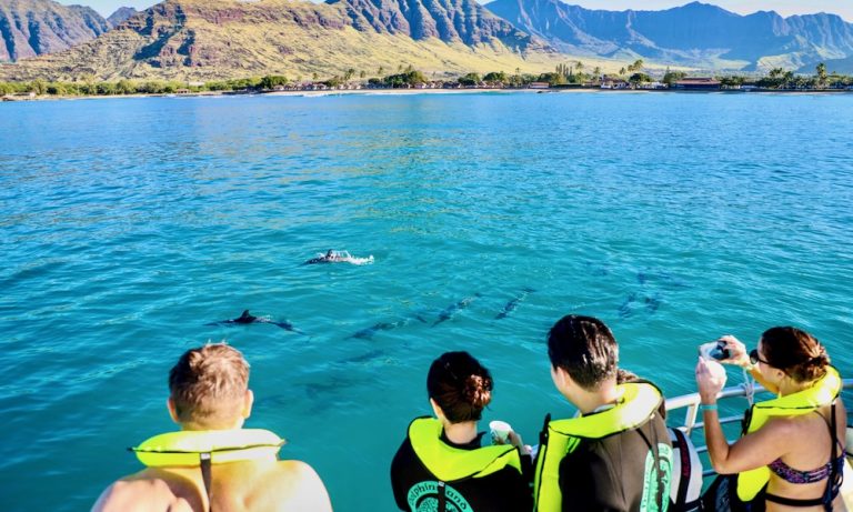 ドルフィンウオッチング