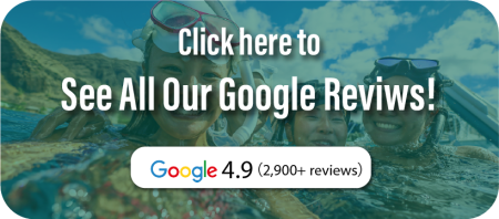 Google reviews 4.9 star
