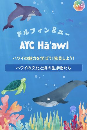 ハワイの海を知るタブレット