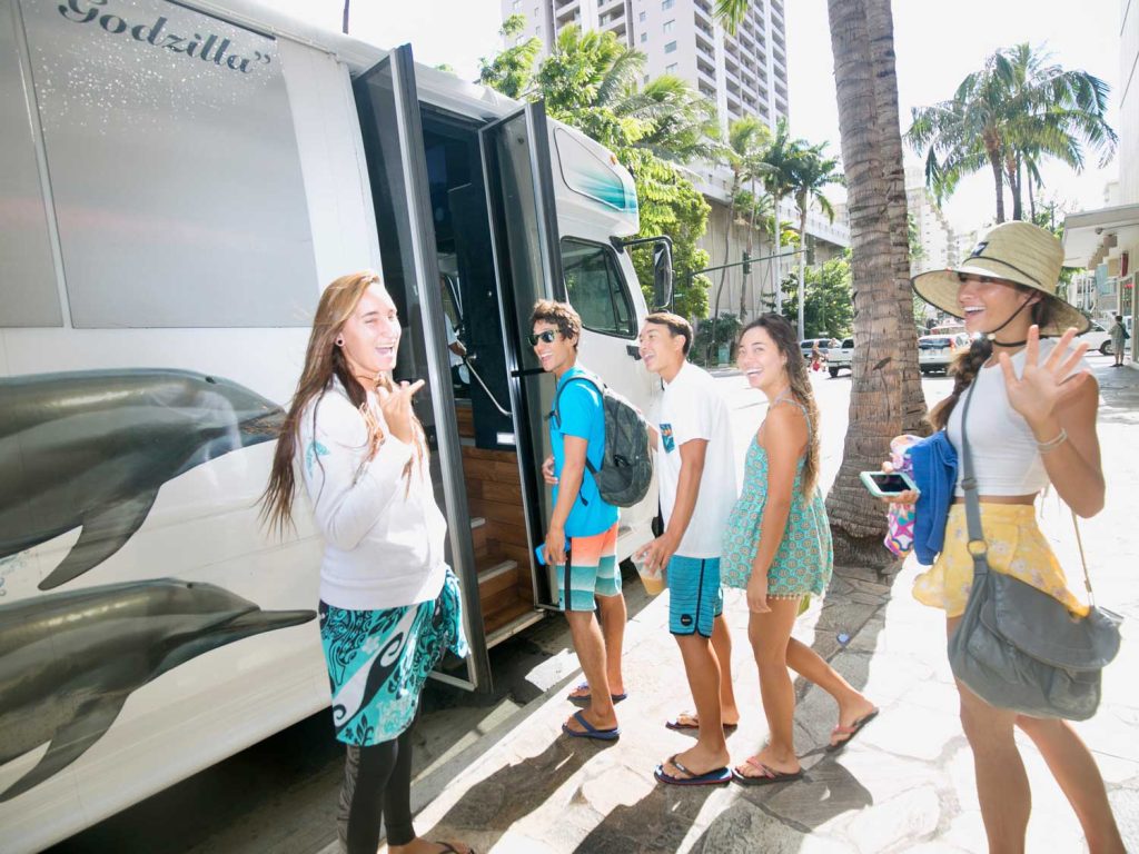 Dolphin watching tour Waikiki Pick-up