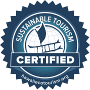 Dolphins and You Sustainable Tourism Certification