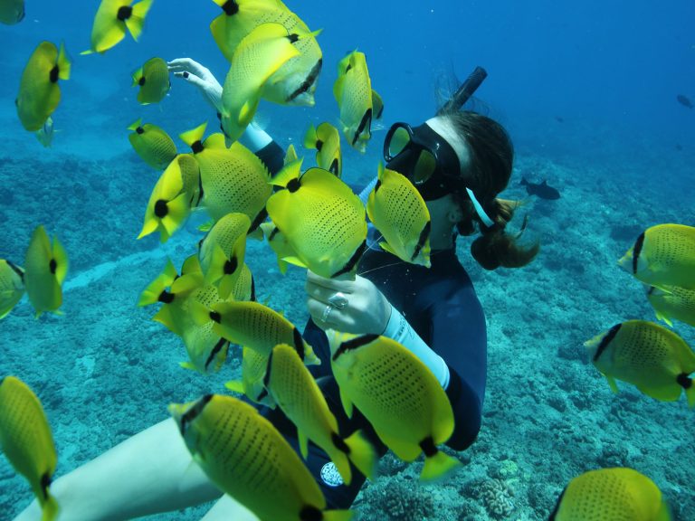 Makaha beach snorkel