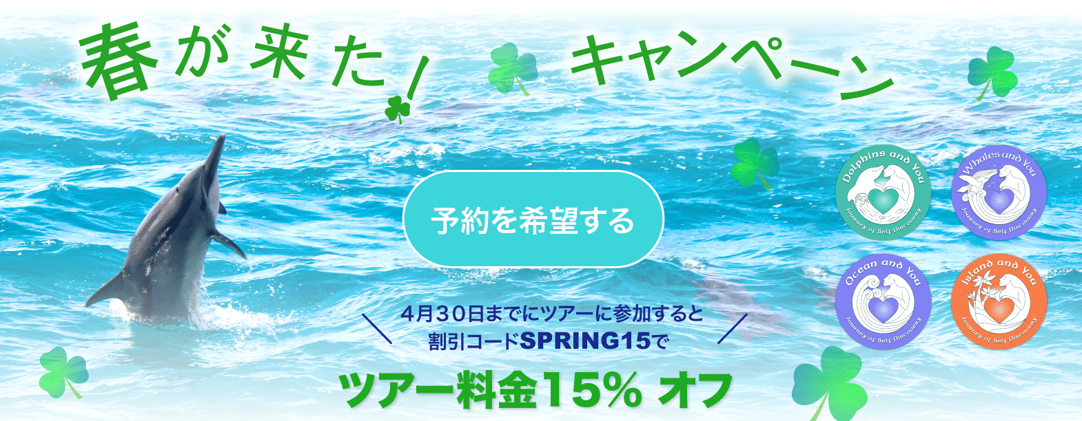 ハワイで野生のイルカと泳ぐツアー ドルフィン ユー