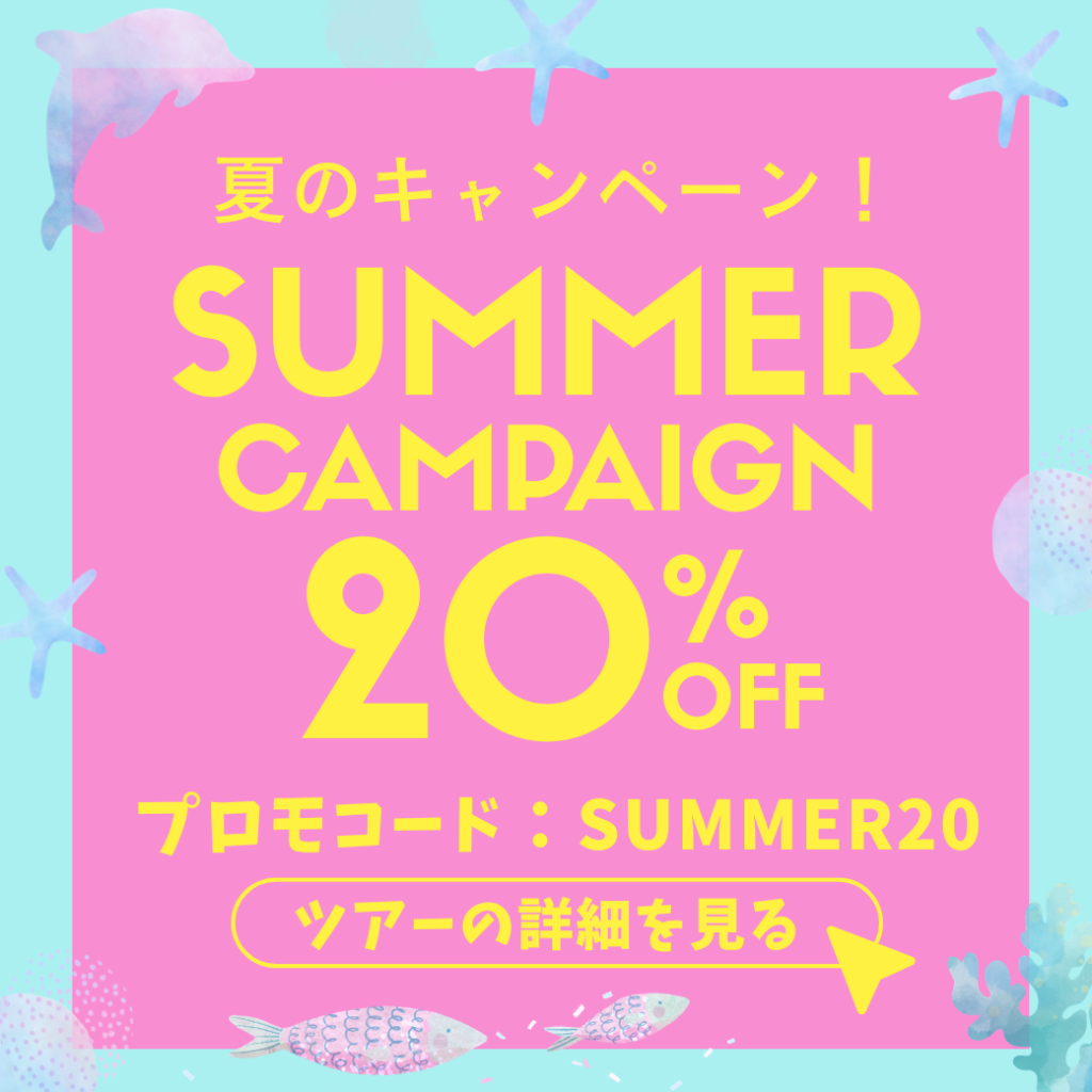 夏のイルカツアーキャンペーン