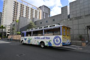 Read more about the article New Trolley in Waikiki: The Turtle Trolley 🐢