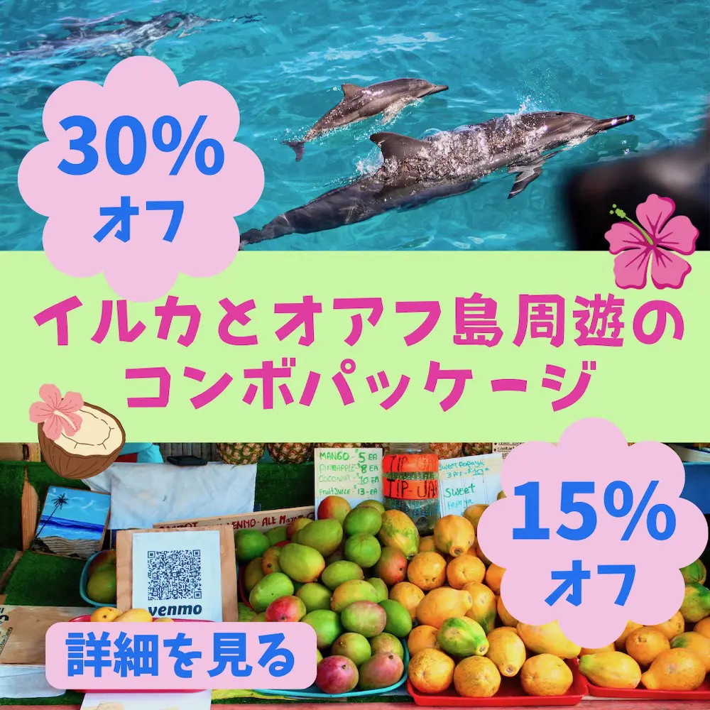 イルカツアーとオアフ島観光のパッケージ