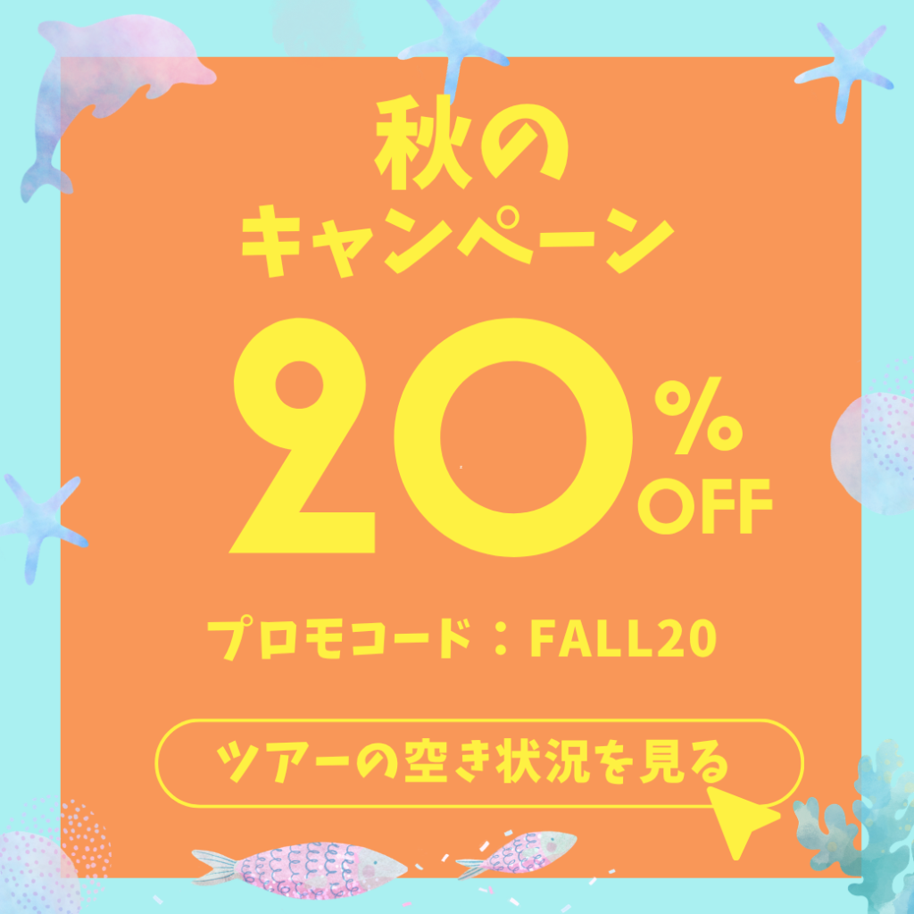 イルカツアー20％オフ